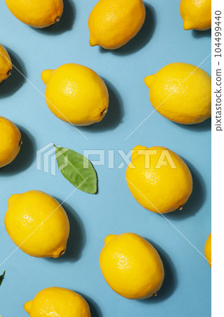 Concept of tasty citrus fruit - delicious lemon Concept of tasty citrus fruit - delicious lemon 104499440