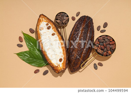 Concept of fresh and aromatic food - cacao beans Concept of fresh and aromatic food - cacao beans 104499594