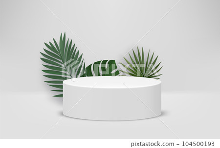 Bright room with podium and green leaves. Eco friendly product showcase template. 3d vector background 104500193