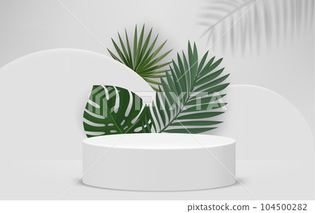 Bright interior with podium and green leaves. Eco friendly product showcase template. 3d vector background 104500282