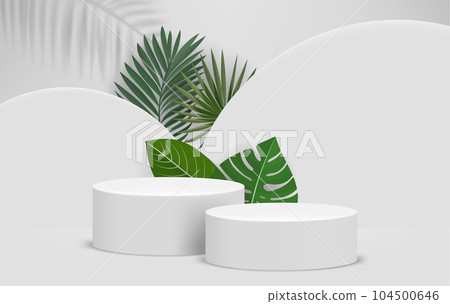 Bright interior with two podiums and green leaves. Eco friendly product showcase template. 3d vector background 104500646