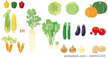 Illustration set of vegetables Illustration set of vegetables 104501165