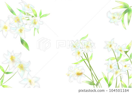 Bamboo lily flower card 5 Bamboo lily flower card 5 104501184