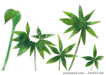 天南莊葉卡2 104501189