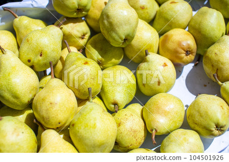 the harvest of yellow ripe pears is on the table the harvest of yellow ripe pears is on the table 104501926