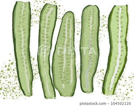 家庭菜園裡的蔬菜夏黃瓜縱向切成薄片，有背景 104502120