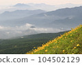 雲海和黃花菜 104502129