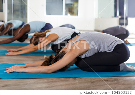 Jolly women and men exercising during yoga class Jolly women and men exercising during yoga class 104503132