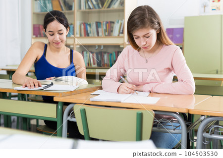 Smiling schoolgirls are learning at the desk Smiling schoolgirls are learning at the desk 104503530