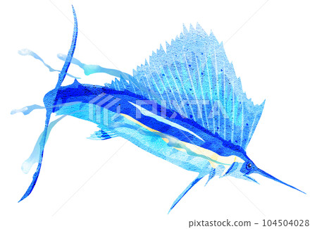 Illustration of a sailfish jumping Illustration of a sailfish jumping 104504028