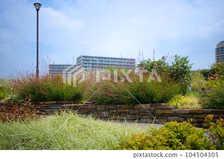 Miyamae Park and blue sky 104504305