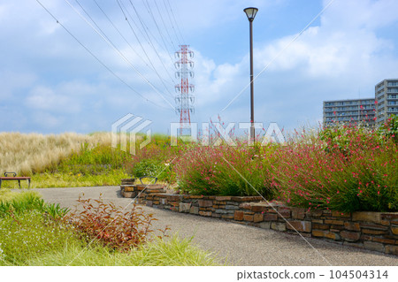 Miyamae Park and blue sky 104504314