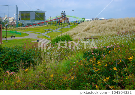 Miyamae Park and blue sky 104504321