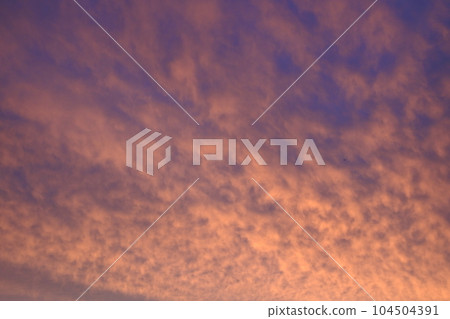 scale cloud, sardine cloud, white cloud, sunrise scale cloud, sardine cloud, white cloud, sunrise 104504391