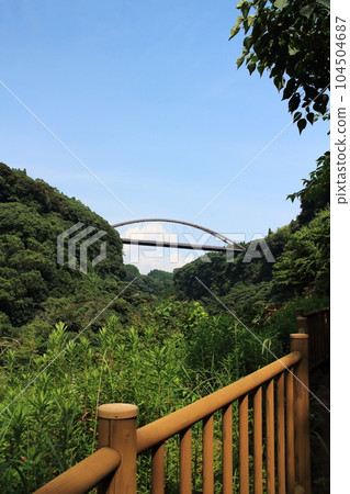 橫跨森林的瀧見橋 104504687