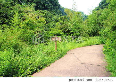 瀧見散步道風景 104504689