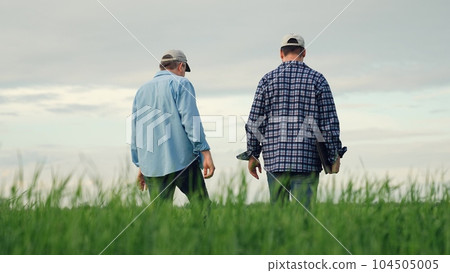 farmers agronomists work farmland. group team farmers. professional engineer worker, agricultural technicians communication harvest field, agricultural laptop, agronomists discuss harvest work 104505005