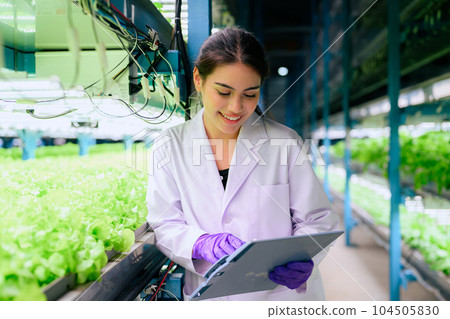 Researchers developing vegetable varieties at greenhouse agriculture Researchers developing vegetable varieties at greenhouse agriculture 104505830