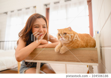 A orange cat, a cute and adorable pet, cat is pictured indoors. A orange cat, a cute and adorable pet, cat is pictured indoors. 104506186