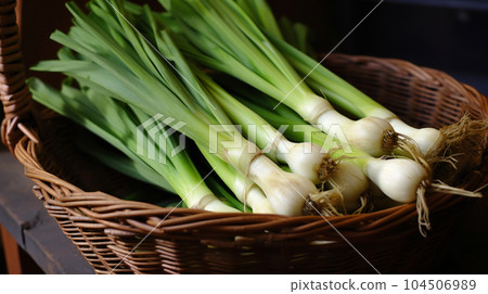 leeks in basket harvesting roots in the ground green brown 104506989