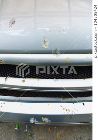 相當危險的烏鴉糞便 104508424