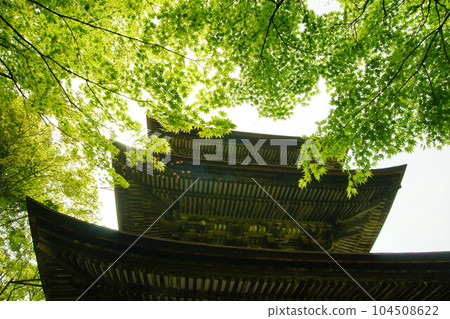初夏的西明寺,楓樹翠綠 (滋賀縣犬神郡高良町, 2022年5月) 初夏的西明寺,楓樹翠綠 (滋賀縣犬神郡高良町, 2022年5月) 104508622