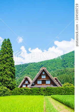 夏川白川鎮 夏川白川鎮 104509719