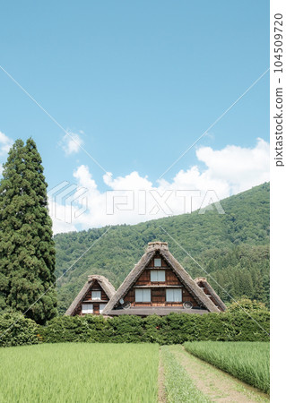 夏川白川鎮 夏川白川鎮 104509720