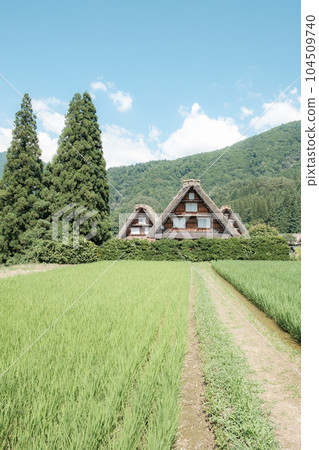 夏川白川鎮 夏川白川鎮 104509740