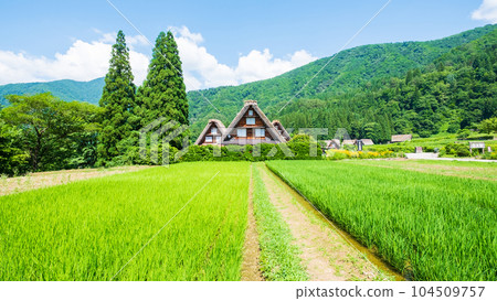 夏川白川鎮 夏川白川鎮 104509757