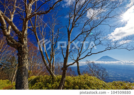 從朝霧高原/目嶽山眺望富士山 104509880