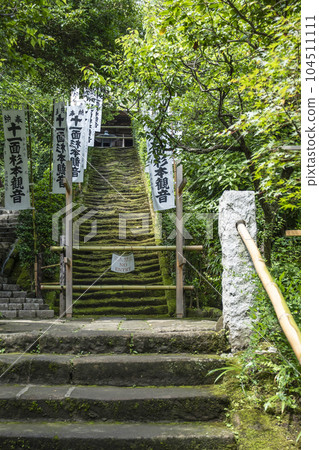 杉本寺（鎌倉）長滿青苔的樓梯 104511111