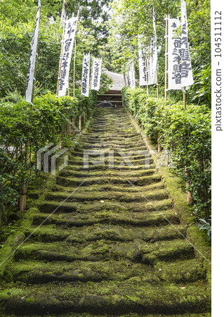 Sugimoto Temple (Kamakura) Mossy stairs 104511112