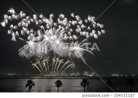 Large flowers that color the night sky <Lake Hamana Bentenjima> 104511187