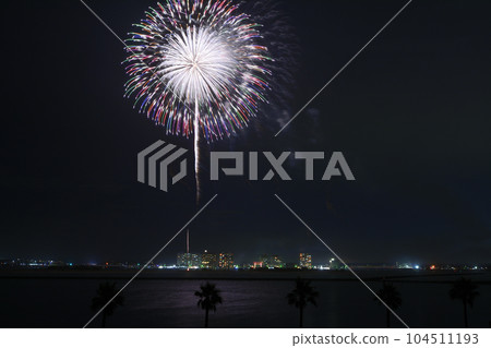 Large flowers that color the night sky <Lake Hamana Bentenjima> 104511193
