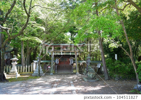大阪、泉佐野、日根神社、姬神社（初夏） 104511827