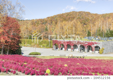 Kokia Takino Suzuran Hillside Park Sapporo City Kokia Takino Suzuran Hillside Park Sapporo City 104512156