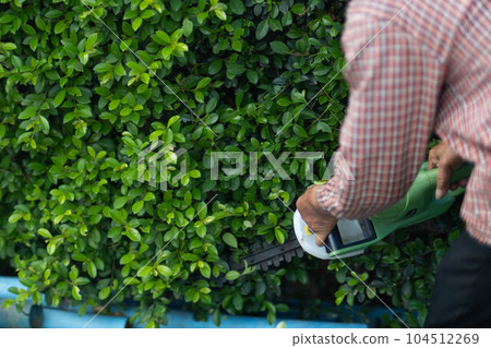 Asian male gardener trimming trees with electric cutter at garden. Modern gardening equipment for work. The process of landscaping during the summer. Asian male gardener trimming trees with electric cutter at garden. Modern gardening equipment for work. The process of landscaping during the summer. 104512269
