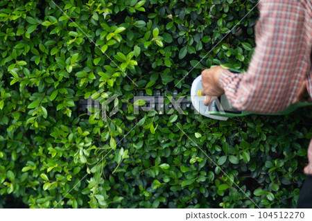 Asian male gardener trimming trees with electric cutter at garden. Modern gardening equipment for work. The process of landscaping during the summer. Asian male gardener trimming trees with electric cutter at garden. Modern gardening equipment for work. The process of landscaping during the summer. 104512270