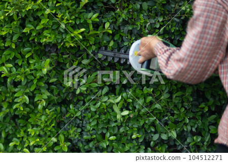 Asian male gardener trimming trees with electric cutter at garden. Modern gardening equipment for work. The process of landscaping during the summer. Asian male gardener trimming trees with electric cutter at garden. Modern gardening equipment for work. The process of landscaping during the summer. 104512271