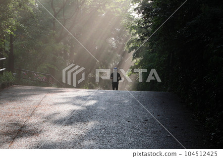 jogging in the morning mist 104512425