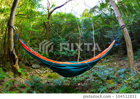 In the middle of nature's forest 104512831