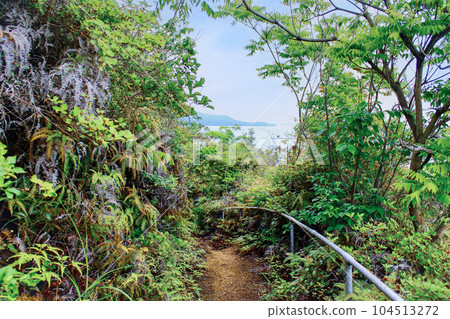 [Kagawa] Oshima in early summer The Seto Inland Sea seen from Soai no Michi, full of nature 104513272