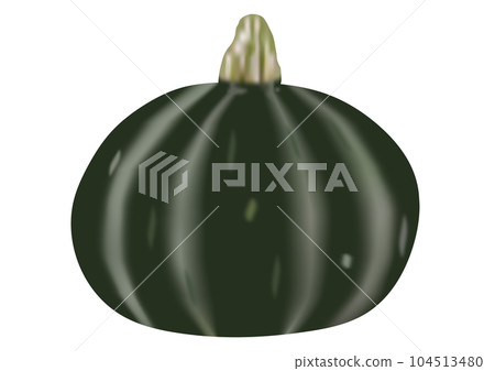 “南瓜” 104513480