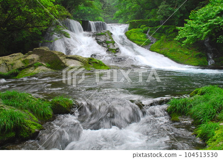 430,000 waterfalls in early summer (Kikuchi Valley) 430,000 waterfalls in early summer (Kikuchi Valley) 104513530