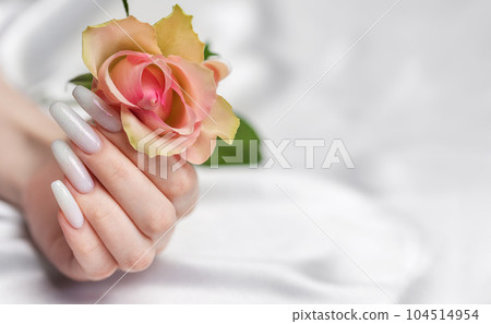 Stylish trendy female manicure. Stylish trendy female manicure. 104514954