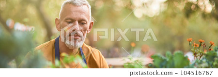 Middle aged caucasian man working with gardening tool Middle aged caucasian man working with gardening tool 104516767