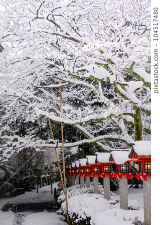 Tsunemiya Shrine in winter Tsunemiya Shrine in winter 104517480
