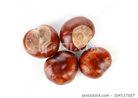 Bunch of horse chestnuts isolated on white background 104517887