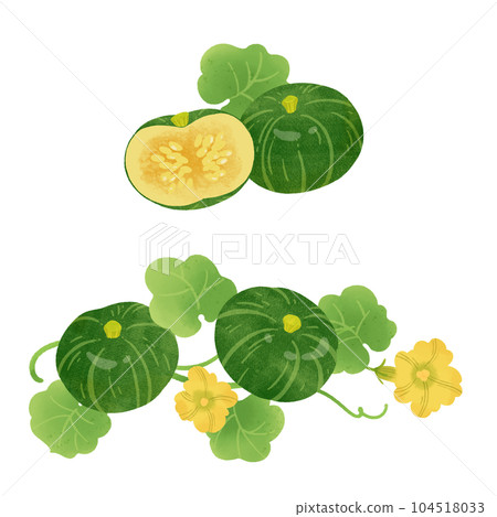 Japanese pumpkin hand-drawn illustration-2 Japanese pumpkin hand-drawn illustration-2 104518033